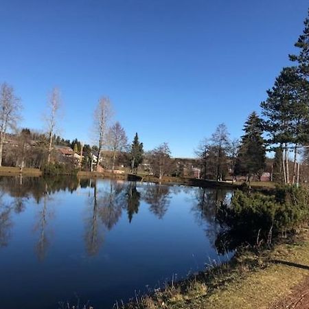 Schoene Ferienwohnung Im Suedschwarzwald Herrischried المظهر الخارجي الصورة