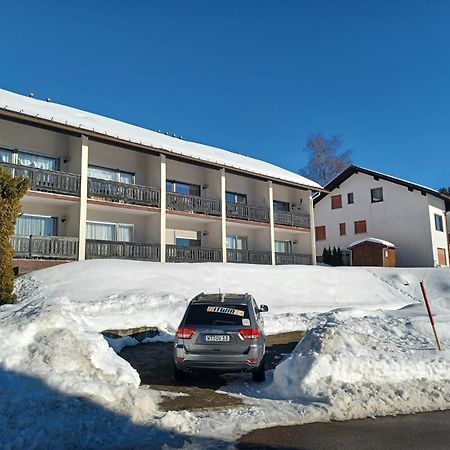 Schoene Ferienwohnung Im Suedschwarzwald Herrischried المظهر الخارجي الصورة